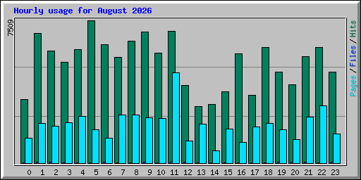 Hourly usage for August 2026